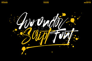 Woonder - Script Font