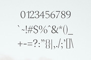 Adrina Modern Serif Font Family, a Serif Font by Symufa (Thumbnail 4 of 7)