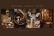 300 Autumn Fall Styled Stock Photos, a Beauty & Fashion Photo by Allure Art (Thumbnail 30 of 50)