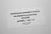 Livo | Elegant Modern Sans Serif Typ, a Font by Astuti Studio (Thumbnail 2 of 16)