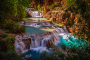 Upon setting foot in their land, a Nature Photo by Excursion Principle (Thumbnail 2 of 2)
