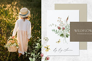 WILDFLOWERS delicate floral clipart, a Person Illustration by long summer (Thumbnail 10 of 12)
