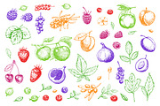 Hand drawn vegetables and fruit, a Decorative Illustration by Ulafant (Thumbnail 20 of 25)