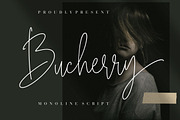 Bucherry Monoline Script, a Script Font by Creatype Studio (Thumbnail 1 of 9)