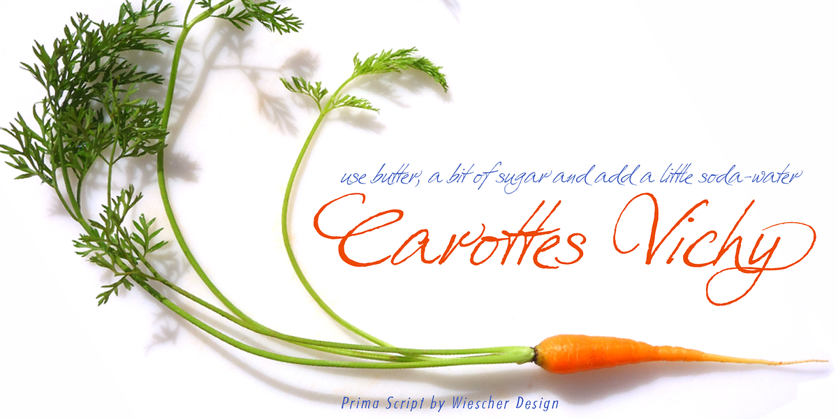 Prima Script, a Script Font by Wiescher-Design (Photo 3 of 10)