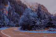 454 Infrared Fantasy Pro LUTs, a Preset Add-On by ShutterPro (Thumbnail 26 of 48)