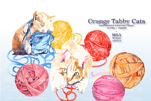 Orange Tabby Cat