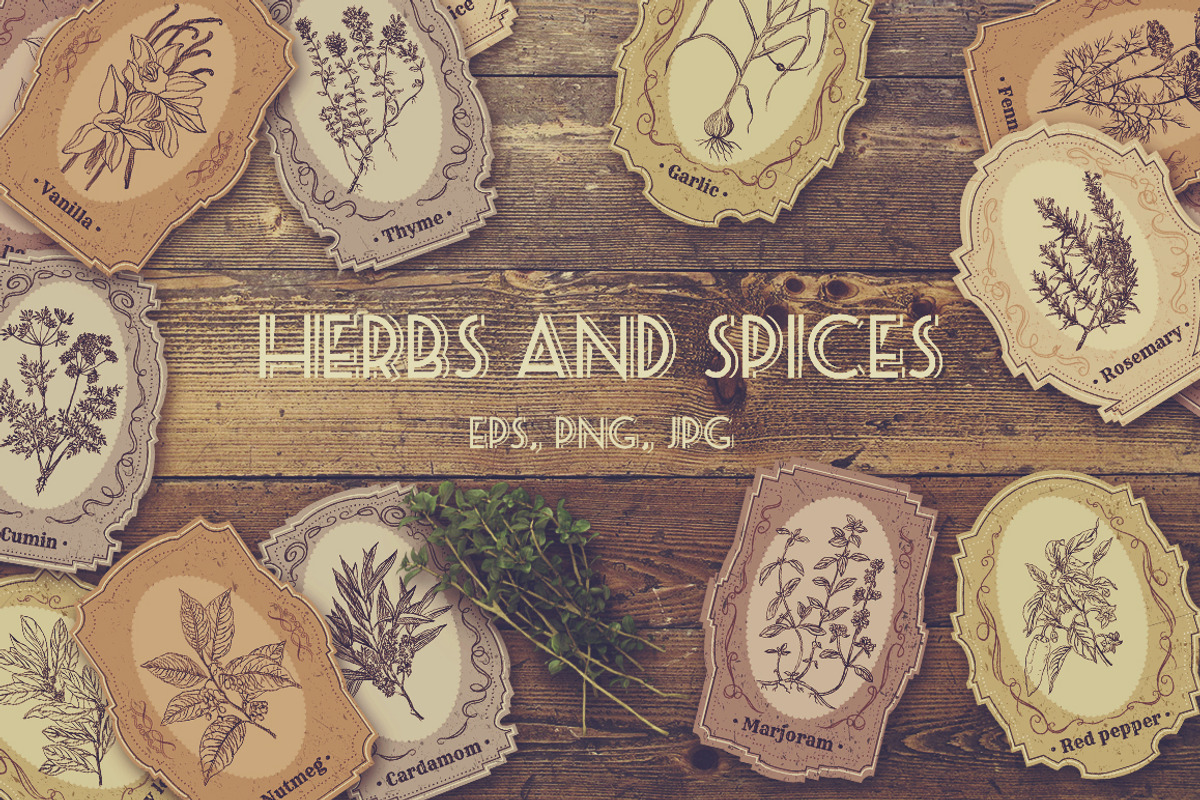 Herbs and spices. Vintage labels set, a Food Illustration by kateja (Photo 1 of 8)