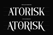 Regsrok - Fantasy Game Serif Font, a Serif Font by Flawless And Co (Thumbnail 6 of 10)