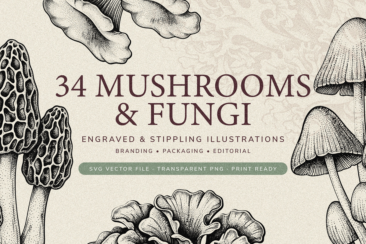 35 Mushrooms & Fungi–Engraved Vector, an Object Graphic by Gonez Studio (Photo 1 of 13)