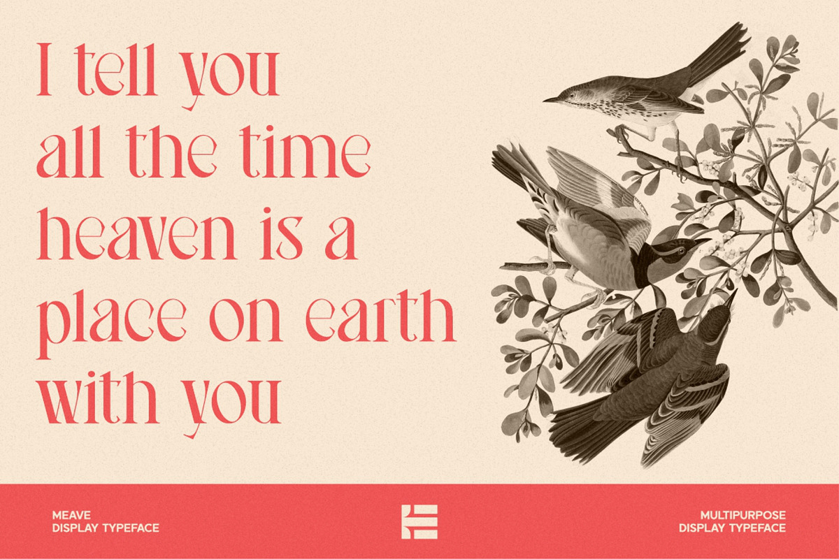 Meave, a Serif Font by Eotype Studio (Photo 4 of 12)