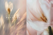 Aesthetic Blurry Floral Backgrounds, a Background Graphic by Altea Design Studio (Thumbnail 7 of 14)