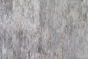 Wood fiber stock photo containing wood and fiber