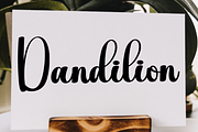 Mama Beautiful, a Handwritten Font by FreshTypeINK (Thumbnail 4 of 8)