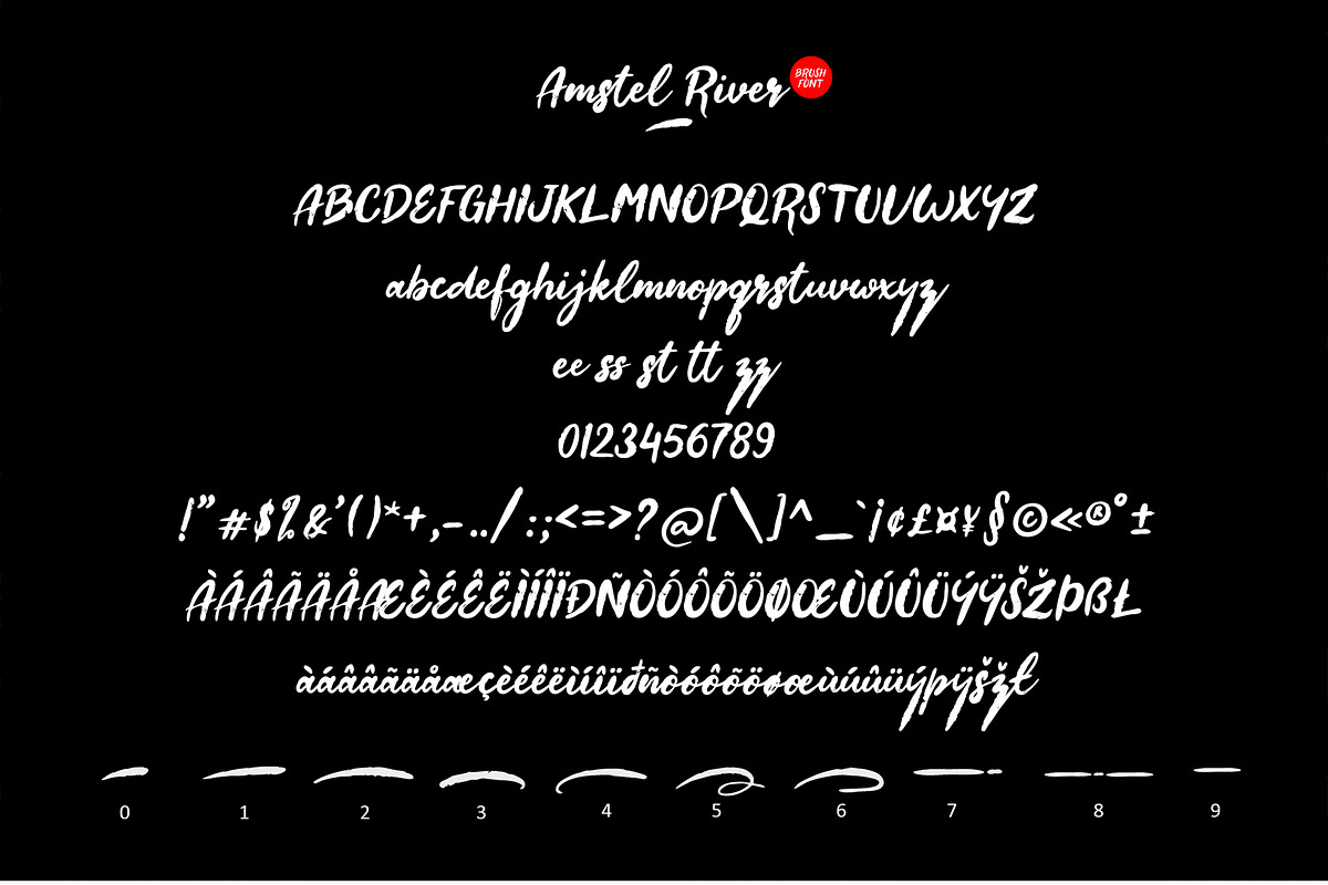 Amstel River - Brush Font, a Script Font by erlosDESIGN (Photo 11 of 11)