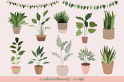 House Plants Clip Art Vector & Png, a Decorative Illustration by Digital Sugar (Thumbnail 2 of 5)