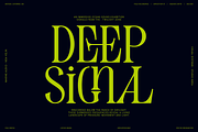 Evertype - Display Serif Font Family, a Serif Font by VP Fonts (Thumbnail 4 of 32)