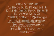Haidan || Moden Classy Serif Font, a Serif Font by Ermedia Studio (Thumbnail 10 of 10)