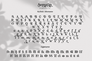 Semutan - Serif Display Font