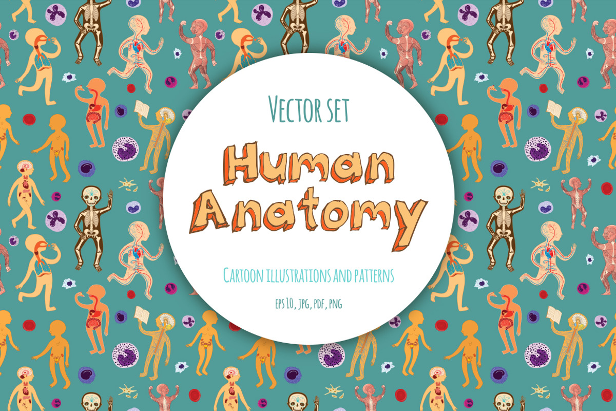 Human Anatomy for kids, an Education Illustration by Shusha Guna Art (Photo 1 of 9)