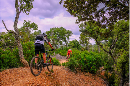 Unrecognisable mountain biker rides