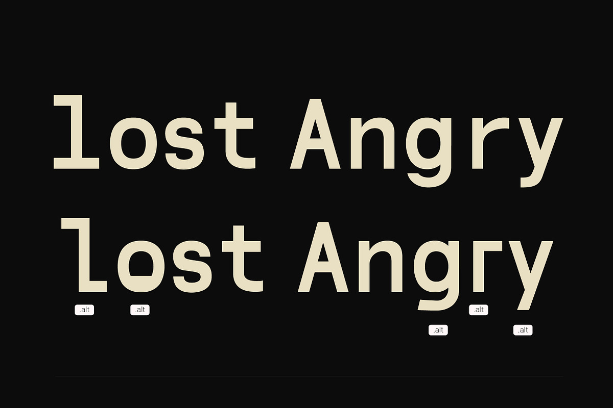 Lenia Mono | Intro 50% OFF, a Sans Serif Font by Lettertype Studio (Photo 8 of 14)