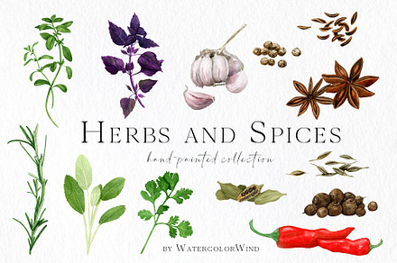 Culinary Herbs and Spices Clipart
