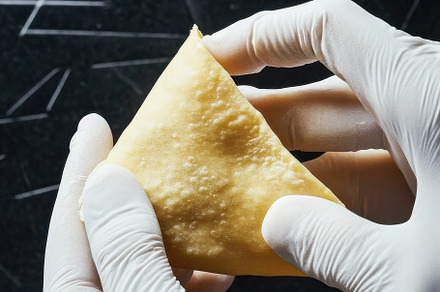 Handmade Vegan Samosa Wrappers, a Food & Drink Photo by Virgo Studio