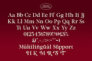 Serefine – Elegant & Romantic Serif, a Font by Sohel Studio (Thumbnail 12 of 13)