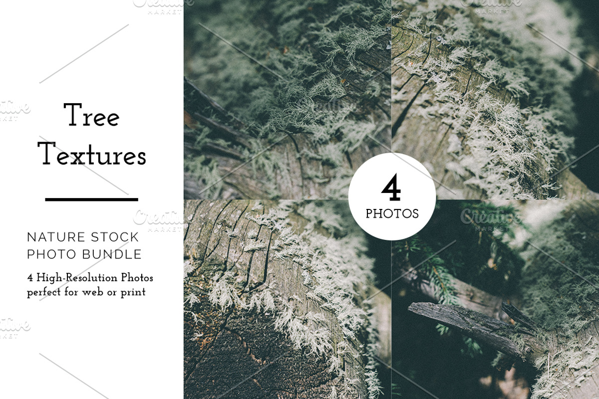 Forrest Tree Textures Bundle, a Nature Photo by Stephanie Mikuls (Photo 1 of 5)