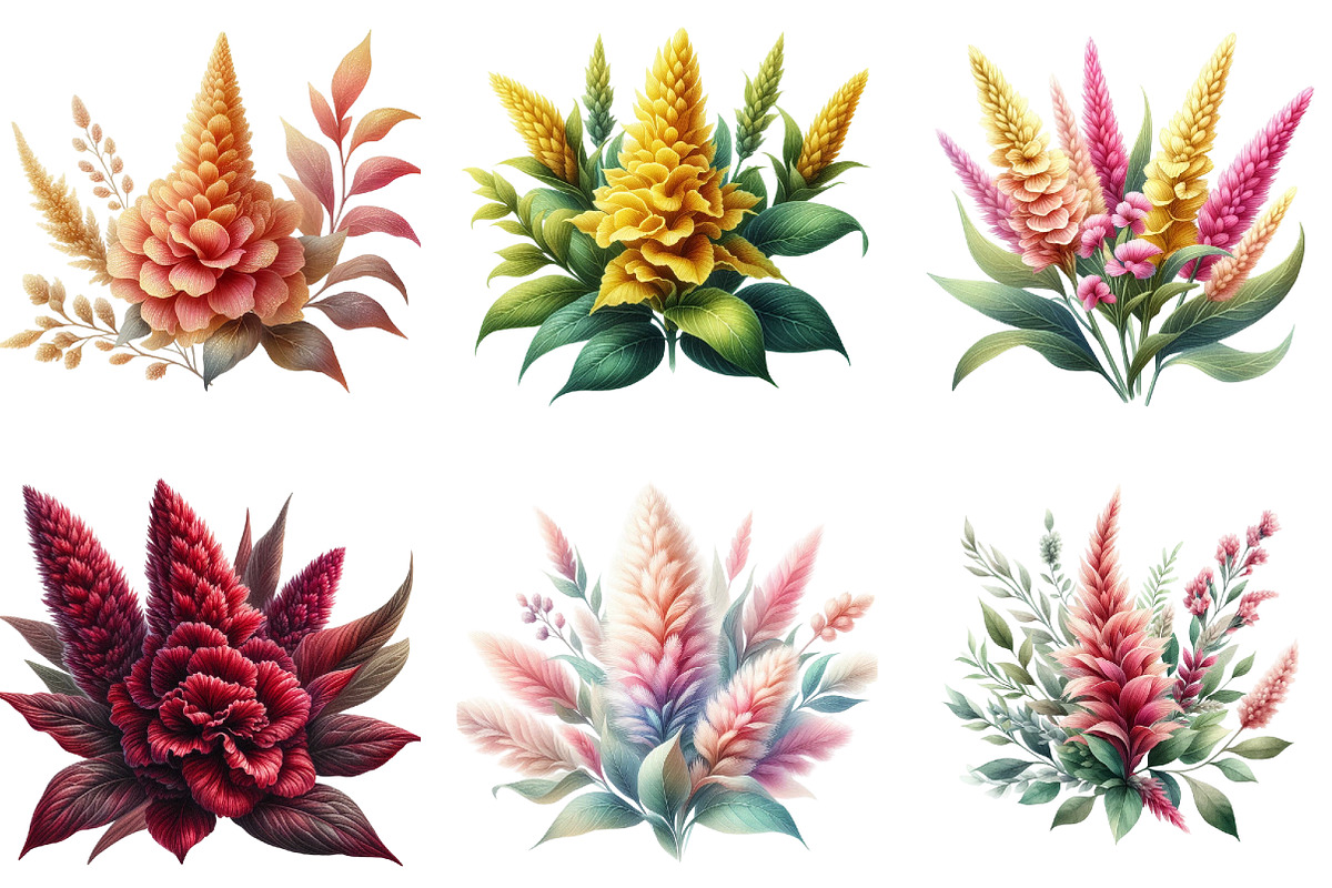 Celosia Flower Clipart, an Illustration by DreamArtGraphic (Photo 3 of 5)