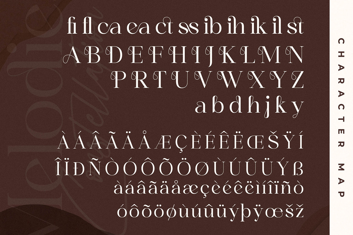 Melodies Constellation Font Duo, a Serif Font by Storytype Studio (Photo 14 of 15)