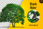 CUT OUT TREES - 60 PCS BUNDLE, a Packaging Mockup by 3DSTORE (Thumbnail 9 of 63)