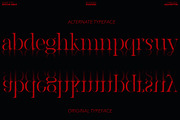 Raylig - Classic Serif, a Serif Font by zelow type (Thumbnail 7 of 15)