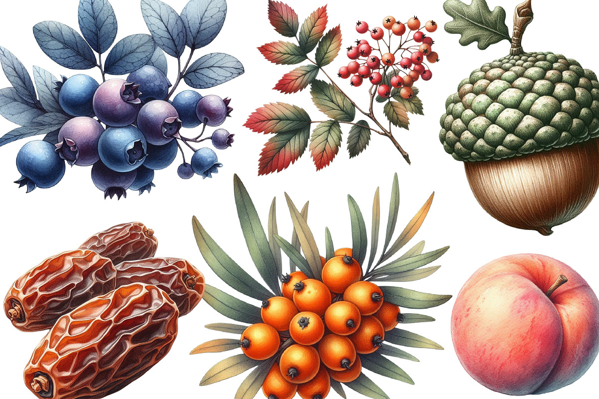 Watercolor Autumn Fruits Clipart, an Illustration by Designking (Photo 3 of 4)