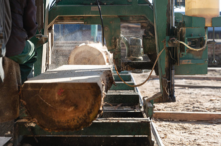 Work at a sawmill, process of cutting wood logs