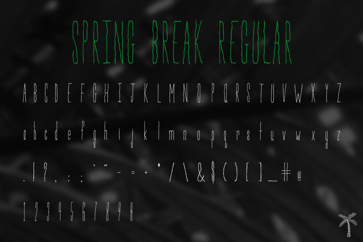 Spring Break Font + Bonus Graphics preview 4