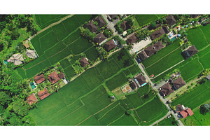 Aerial view of lush green rice, a Nature Photo by Goinyk