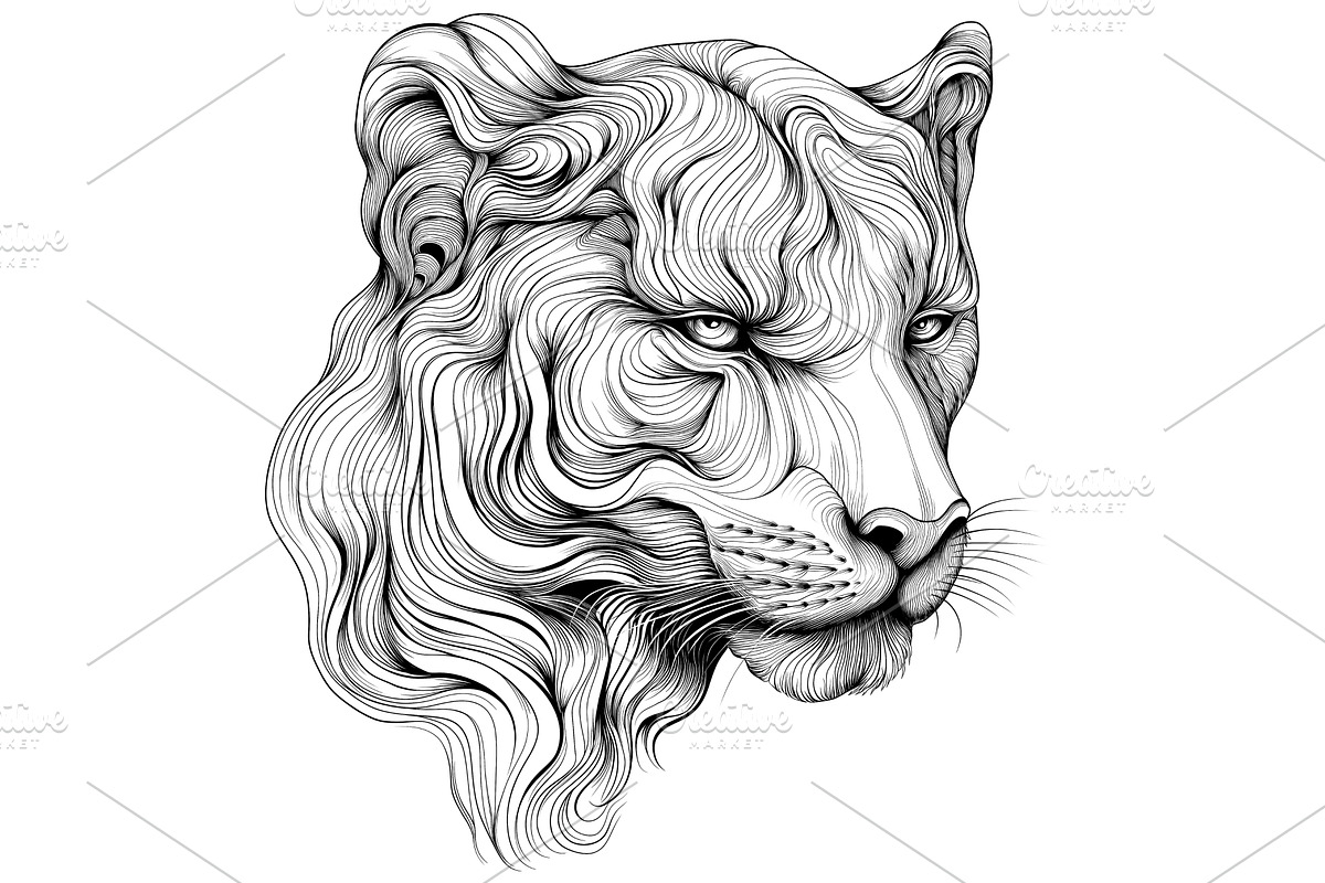 Flowing Lion's Head Sketch Design, an Animal Illustration by BazziBa♥
