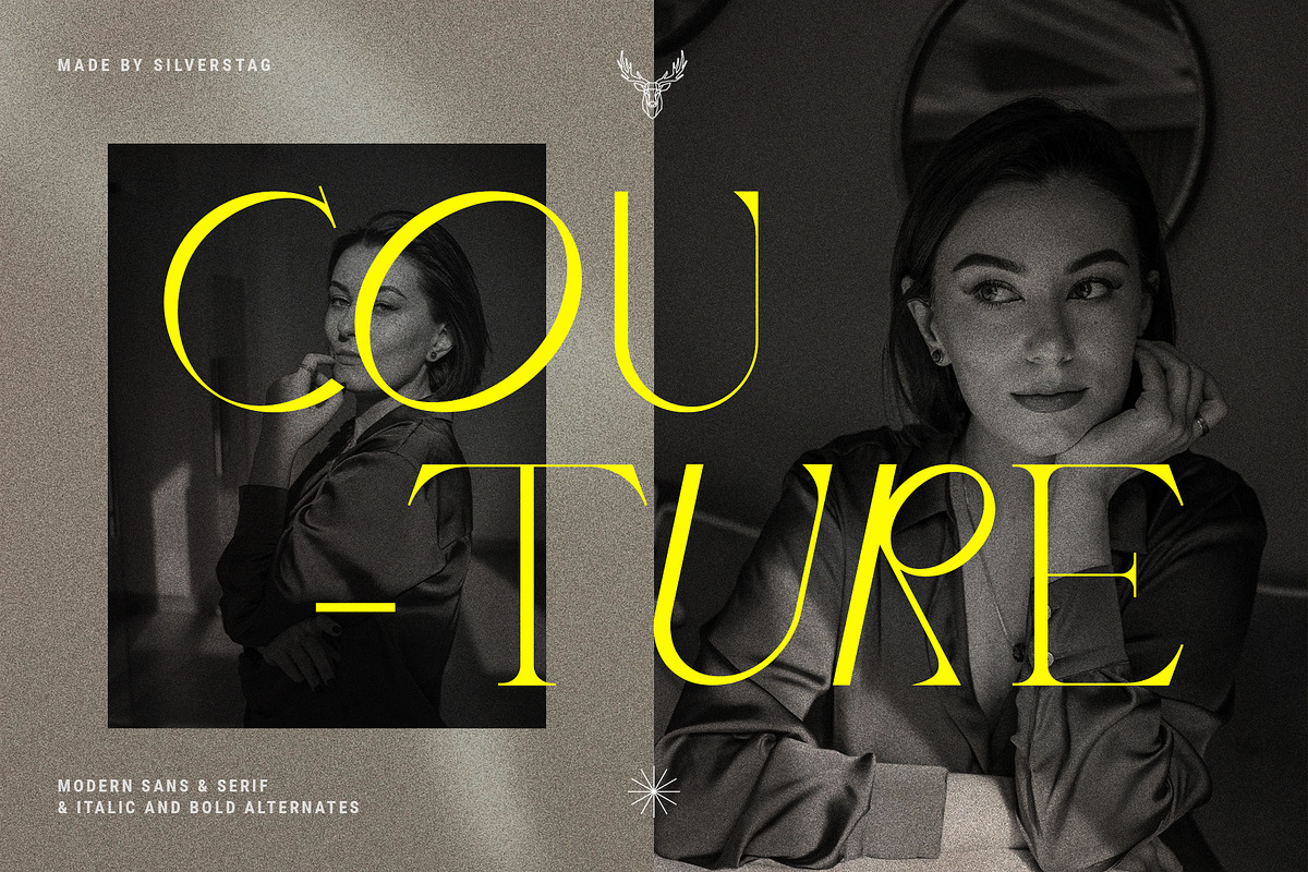 Quarx - Sans & Serif Modern Font Duo, a Sans Serif Font by SilverStag Type Foundry (Photo 2 of 18)