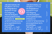 Prodes Bold Stencil Serif, a Serif Font by AmorfaType (Thumbnail 10 of 11)