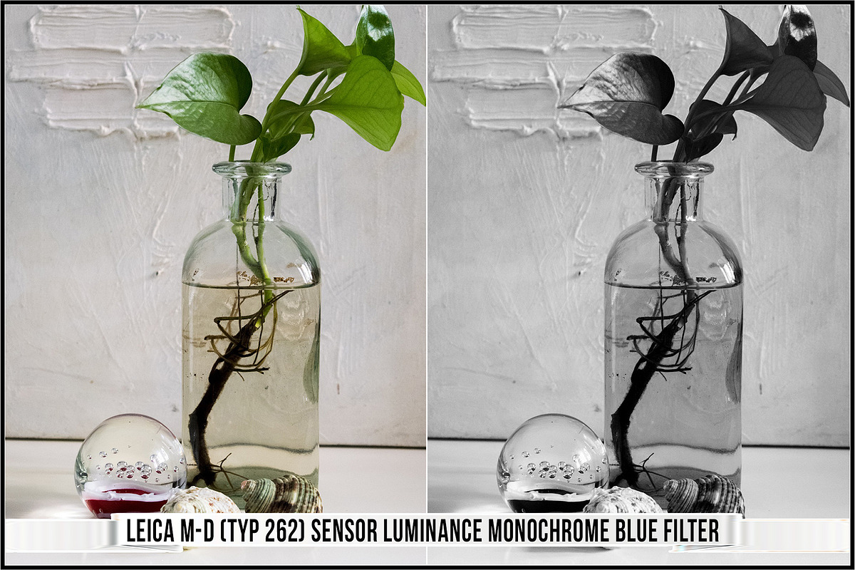 Leica Colors & Sensor Luminance, a Plug-in Add-On by Raztrend (Photo 13 of 29)