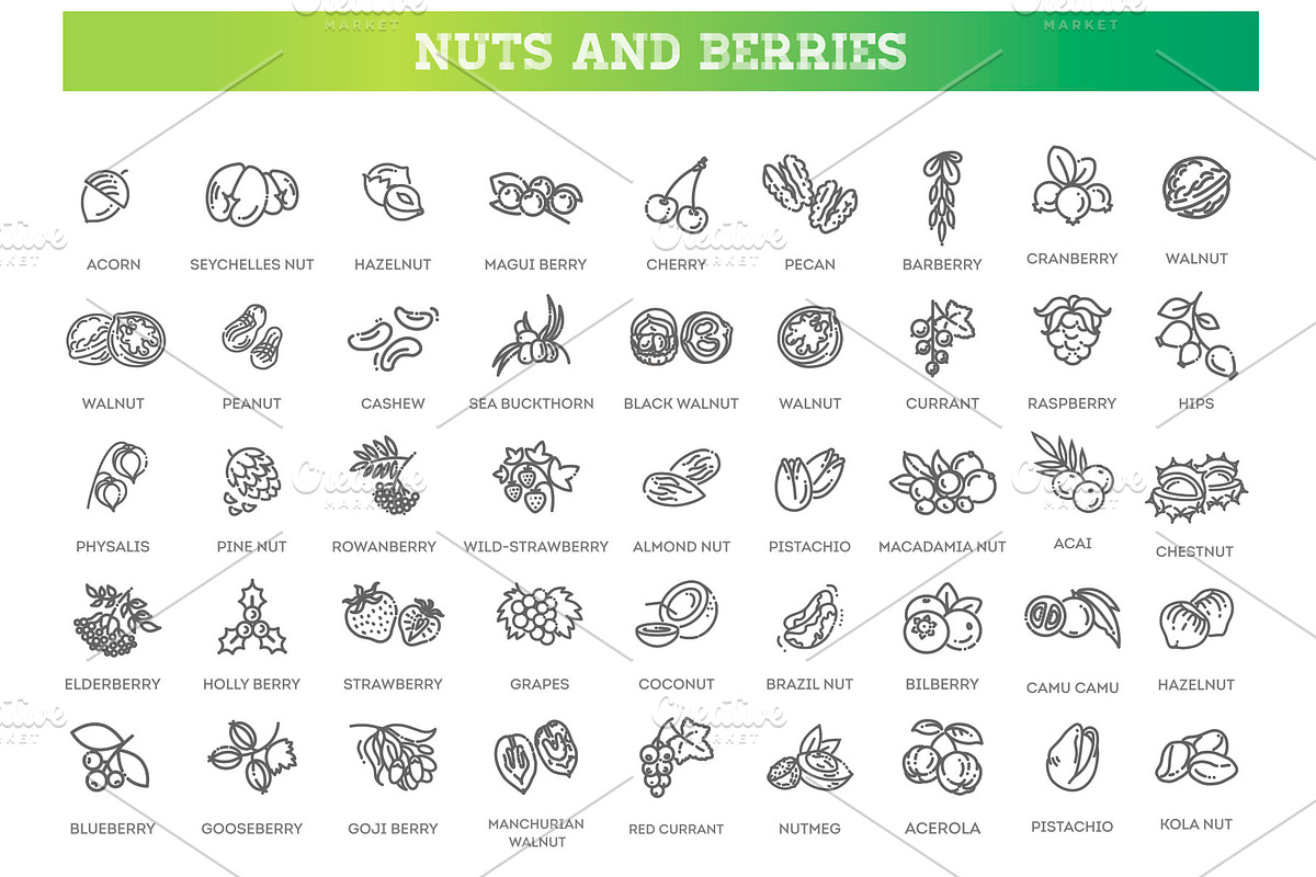 Nuts and Berries icons, a Food Illustration by Tettygreen (Photo 1 of 3)