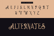 Aston - Vintage Serif Font, a Serif Font by JumboDesign (Thumbnail 6 of 7)