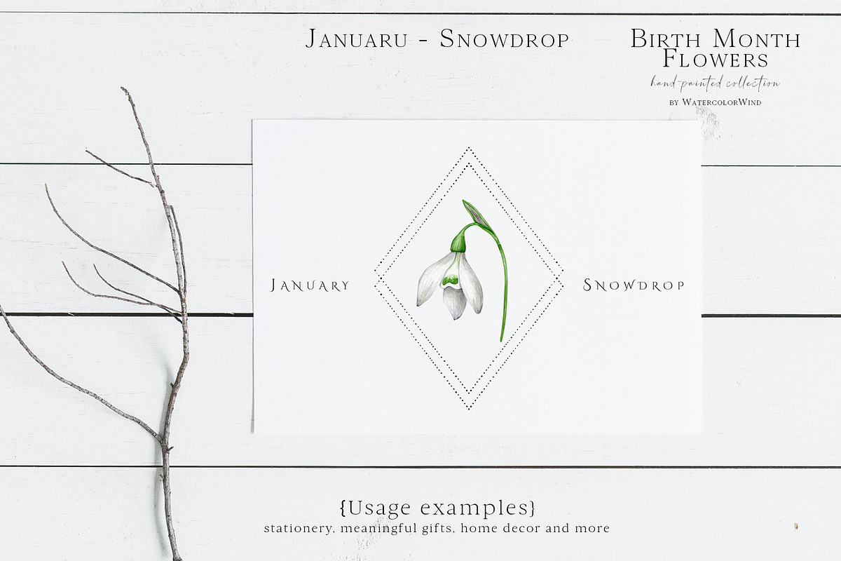 Snowdrop Birth Month Flower Clipart, an Illustration by Ksenia Shmakova (Photo 4 of 9)