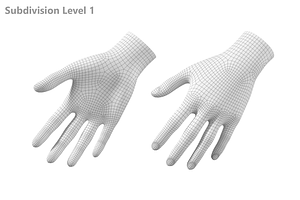 Female Hand Base Mesh 03