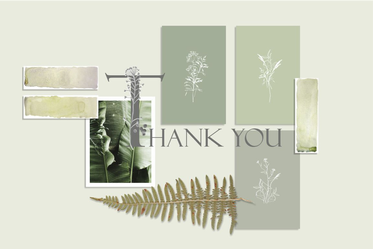 Meadow Grasses & Watercolor Stripes, an Illustration by Collection by VY (Photo 11 of 11)