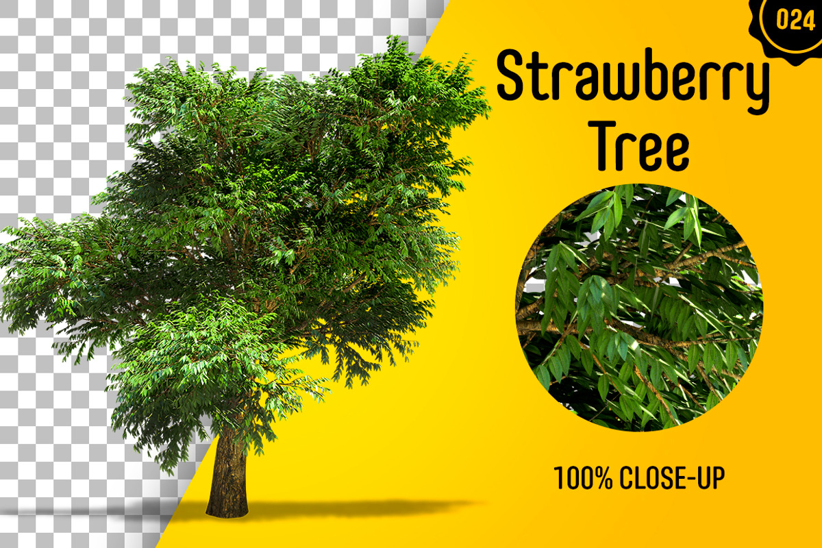 CUT OUT TREES - 60 PCS BUNDLE, a Packaging Mockup by 3DSTORE (Photo 25 of 63)