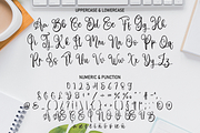 Thomshon | Script Font, a Script Font by Scratchones (Thumbnail 4 of 8)