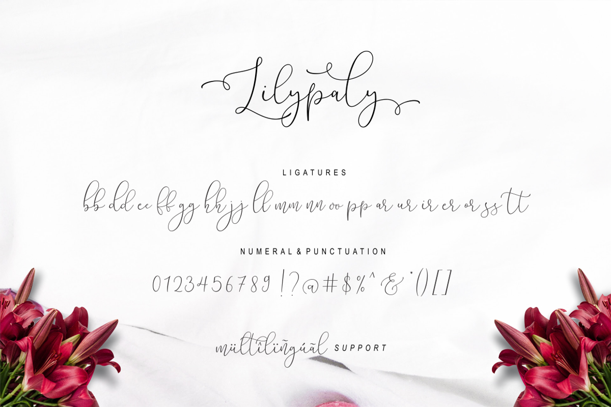 Lilypaly - Handlettering Font, a Script Font by Sronstudio (Photo 19 of 19)
